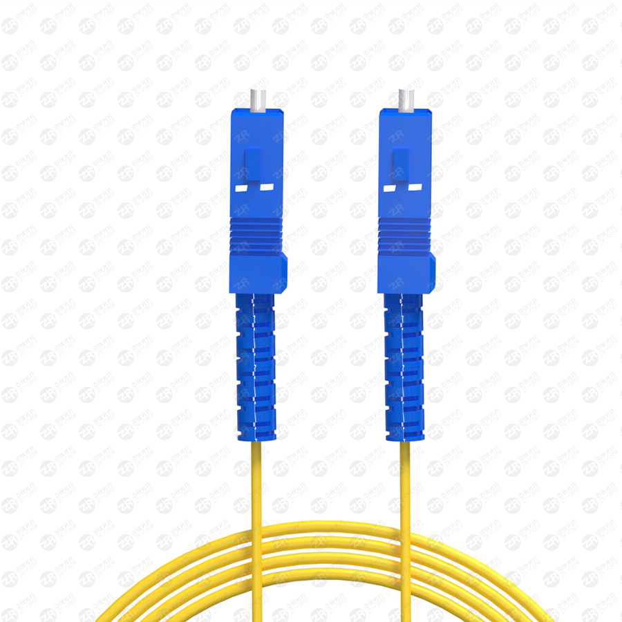 single-mode fiber module