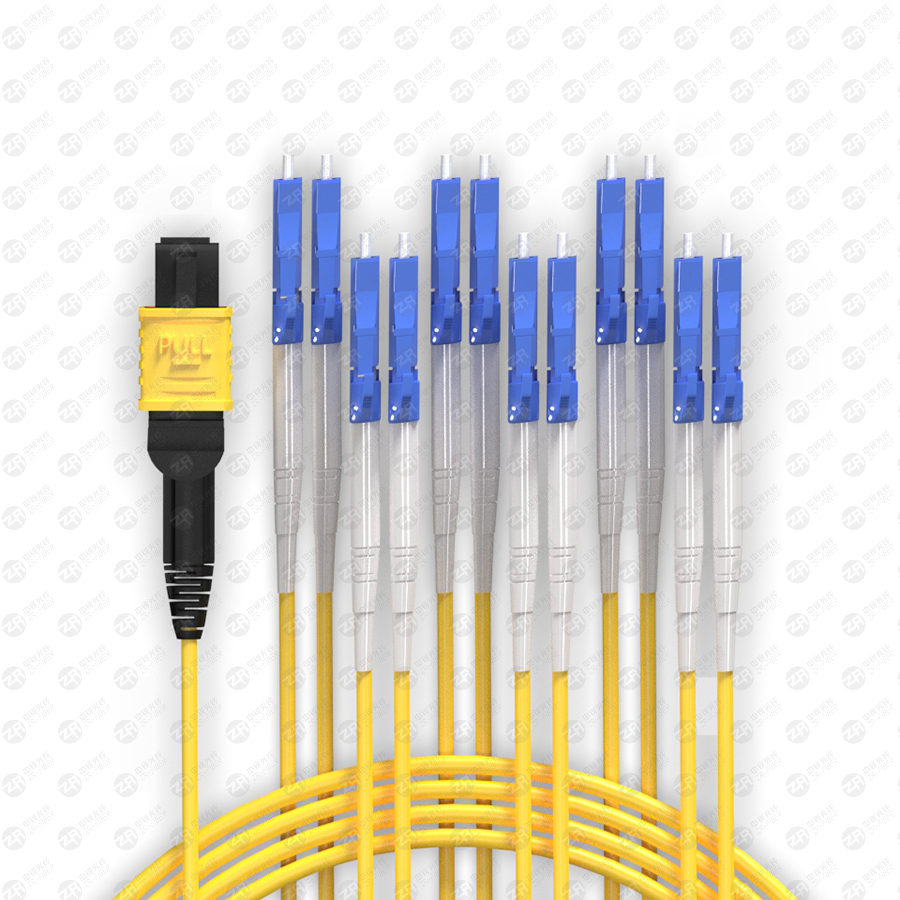 MPO-12 core LC